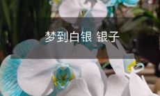 在梦中出现了闪闪发亮的白银,引发我的内心深处的眷恋和追求