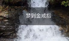 在梦中发现了一枚闪闪发光的金戒指，引发了无尽的幻想和追寻的故事情节