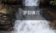 在梦中遇见了一把闪闪发光的镰刀:渐清晰的幻象中探秘生命与死亡之间的神秘界限