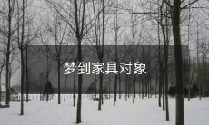 如何分析您在梦中出现的家具对象并揭示潜意识的信息？