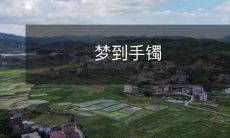 附身手腕、闪耀光芒的恒久之物——让你神游梦境的珠宝手镯