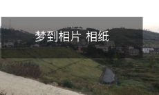 做梦时突然出现了相片和相纸,让您感受到了浓浓的回忆与情感的长恋!