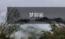 在梦中经历的奇妙之旅:探秘充满神奇魔力的瓮,掀开梦境中无限可能的神秘面纱!