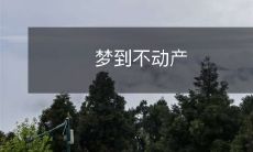 在梦中漫游:探索不动产,穿越房产市场,发现你的理想住房