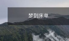 在梦中体验到了床单的柔软舒适,令人沉醉的细节与感觉让人流连忘返的美妙之旅