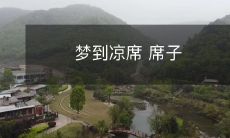 为何象征着夏日冷清的暮色之中亟待解开的深意？