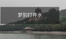 在梦中打井水:探究梦境生成过程及其潜在心理意义