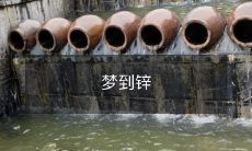 氧化物修饰的聚合物-聚(乙烯基吡啶)催化合成锌氧化物-从梦到现实的路程