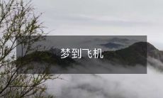 我在梦里梦到了一架飞机,飞向天空快乐地旋转着