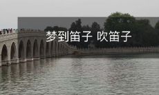 在梦中弹奏美妙的笛子：探索如何在梦境中享受音乐的美妙体验