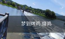 熟透了，美味诱人，令人食欲大开的梦境中的烤鸡与烧鸡经历：一场口感极佳、口水直流的美食之旅