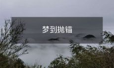 在梦中体验到汽车抛锚而无法继续旅行的经历