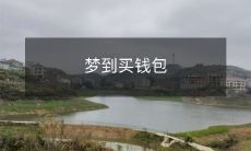 昨晚做梦，梦见自己在购买一款漂亮的钱包：我在梦中的奢侈消费意愿和皮具品味的深入分析