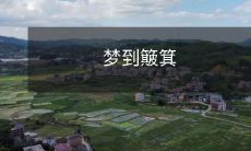 入手,如何借助梦境中的簸箕揭示人生隐喻与象征?