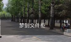 里的重要文件不见了：梦境中遗失重要文件柜内容