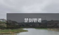 入口处有大块障碍物的梦：我在清理堵塞管道的艰难旅程中获得了启示