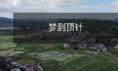 沉醉于梦境中,遇见顶针的神奇旅程