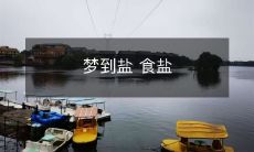 成为梦中主角:探索梦境中的神秘盐世界与盐的玄妙属性