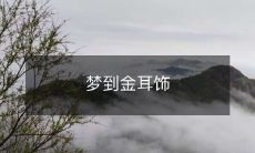 在睡梦中穿越时空:亲眼目睹历史上的珠宝奇迹——梦中拾获金耳饰