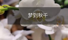 在秋日的午后梦见荡秋千的浪漫回忆