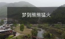 在梦中,我目睹了一片熊熊猛火,引发了强烈的恐惧和不安感