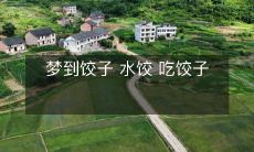 在梦中沉溺于美味的饺子：豆沙馅、鲜肉馅与素菜馅，既有水饺又有煮饺，最终戏中完成真实的吃饺子之愿望