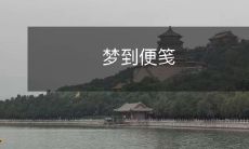 在梦中遇见便笺:一个突如其来的神秘事件的幸福或不幸的象征吗?