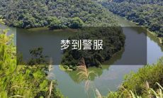 穿行并成为一名警察：我在梦中身着警服，在法律领域严厉执法！