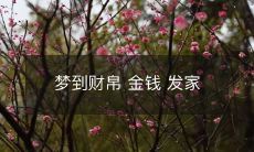 在梦中获得金钱财富,开启致富之路,成功实现财富自由的梦想