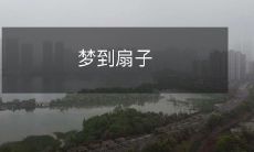 在梦中悠游扇子的世界:探索心灵深处的奇妙幻境