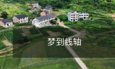 梦到线轴旋转，令人沉醉于不可思议的史诗般的奇妙冒险中