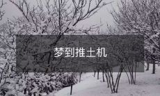 在梦中经历推土机的震撼,探究潜在心理意义的探析