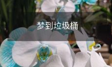 在梦中遇见垃圾桶:探索潜意识中废弃物的象征意义与解读方法