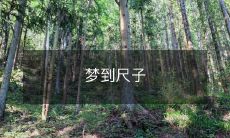 在梦中看到一把尺子,它的形态、大小、颜色究竟是怎样的?是怎样的预示和暗示? ——探究尺子在梦中的含义