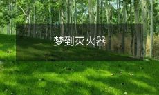 在梦中遇到灭火器:探讨潜意识中的火灾风险感受和自我保护机制