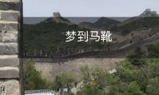 的意义与解析：解读梦境中出现马靴所传达的潜在含义及心理暗示