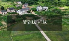 在梦中体验无限运动快感:梦见打篮球足球等各种球类运动的诱人体验