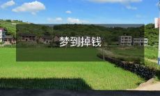 今夜我在梦中掉落的钞票:一个异象的分析与象征性解读