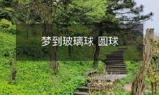 形状的小玻璃球在我梦中盘旋着:追寻梦境中的透明奇思妙想