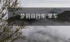 的自由之旅,乘风破浪畅游城市的美景