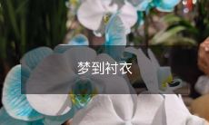在梦中穿着舒适的衬衣,仿佛感受到了生活的滋味:追逐成长的道路,承接家庭的责任,与人互动的情感,以及展示个性的自由