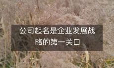公司命名是企业发展战略的最初而关键的步骤：为何不应低估起名的重要性？