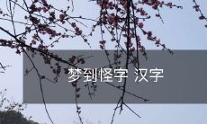 梦见奇怪的汉字:探讨梦境中汉字产生的原因和可能的解释