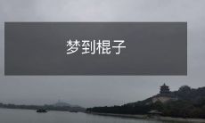 在梦中遇见木制棍子并沉迷其中：一个关于棍子的梦境体验