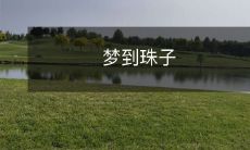 在梦中遇见了一颗闪烁着珍珠般光彩的神秘宝石