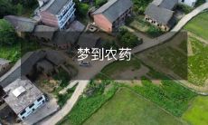 在梦中遇到被农药污染的环境:探讨梦境中对生态环境和健康的思考与认识