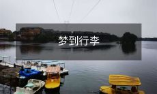 在梦中遇见自己的行李，但不知道该如何拿起它，并感到自己在旅途中徘徊不定的奇怪经历！