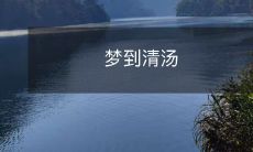 梦中出现的清汤鲜香扑鼻令人陶醉,令人沉醉其中的美妙体验