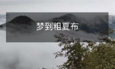 纱布狂舞的夏日——一个大家梦到过的独特场景