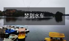 沿着河流漫步，偶然发现静静转动的古老水车，随着轮轮漏出的清脆声响，远处传来窸窸窣窣的流水声，仿佛置身于诗意盎然的田园世界中，满载着梦想和希望的心灵在水车旁沉醉徜徉